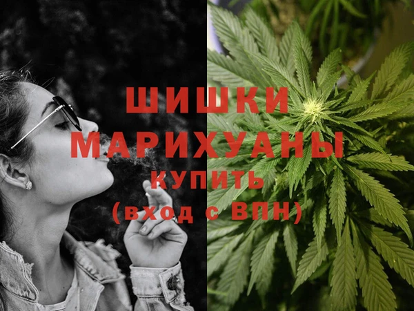 ПСИЛОЦИБИНОВЫЕ ГРИБЫ Медвежьегорск