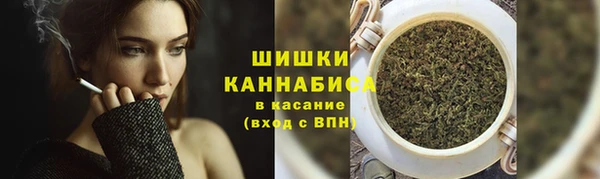 ПСИЛОЦИБИНОВЫЕ ГРИБЫ Медвежьегорск