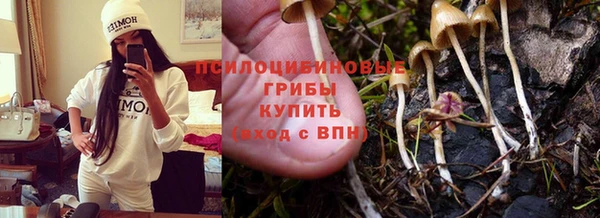 метамфетамин Медногорск