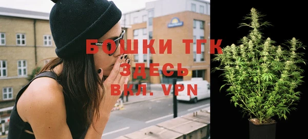 ПСИЛОЦИБИНОВЫЕ ГРИБЫ Медвежьегорск