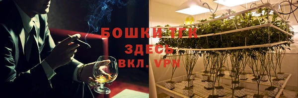 ПСИЛОЦИБИНОВЫЕ ГРИБЫ Медвежьегорск