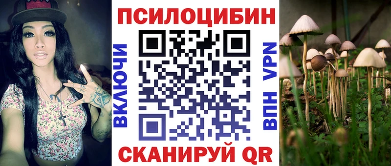 дарнет шоп  shop формула  Псилоцибиновые грибы MAGIC MUSHROOMS  Таруса 